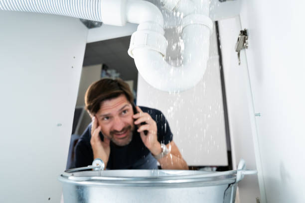 Best Local Plumber Services  in Reinbeck, IA